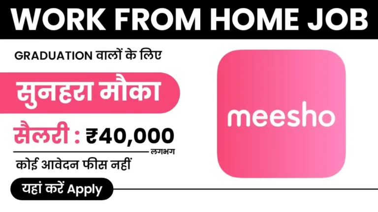 Meesho Work From Home Job