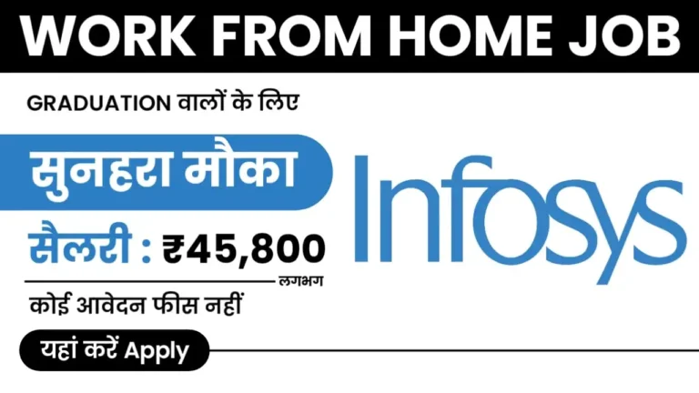 Infosys Work From Home Job