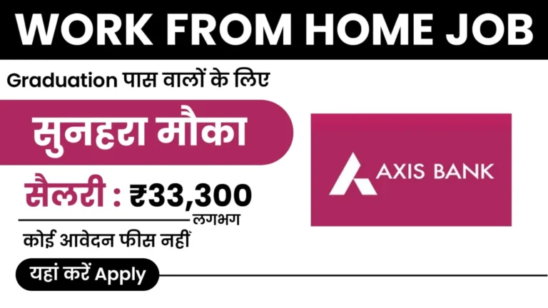 Axis Bank Work From Home Job