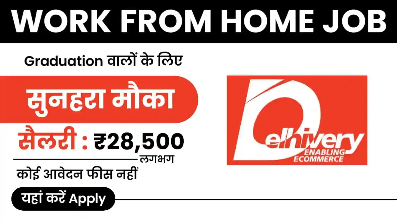 Delhivery Work From Home Job