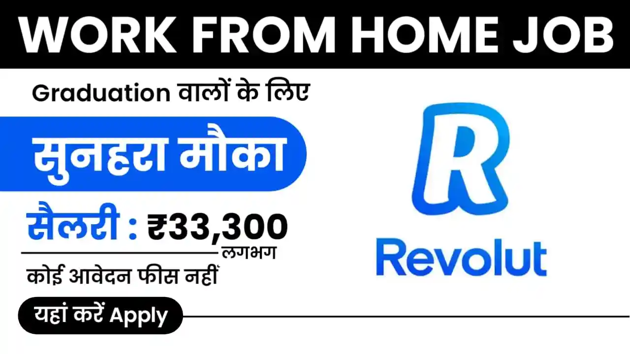 Revolut Work from Home Job