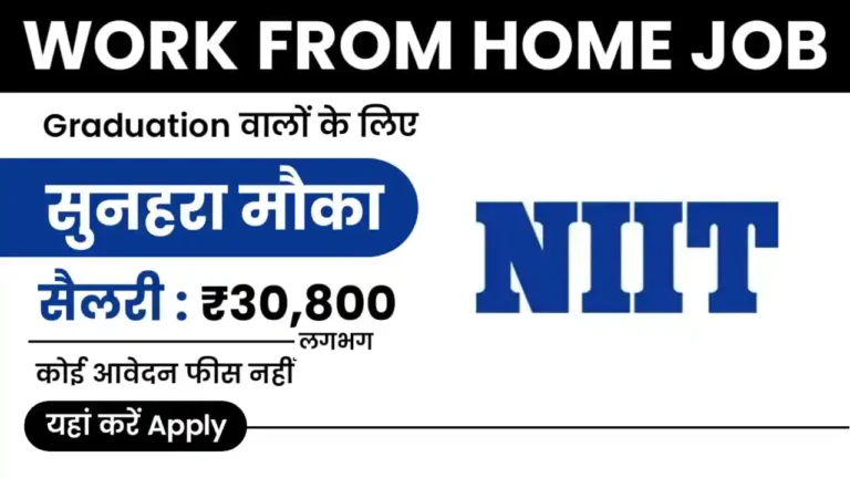 NIIT Work From Home Job