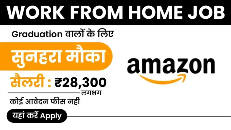 Amazon Work From Home Job