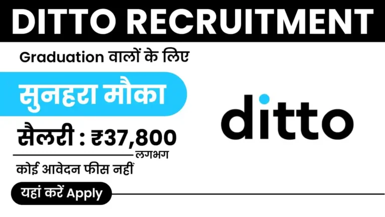 Ditto Recruitment 2025