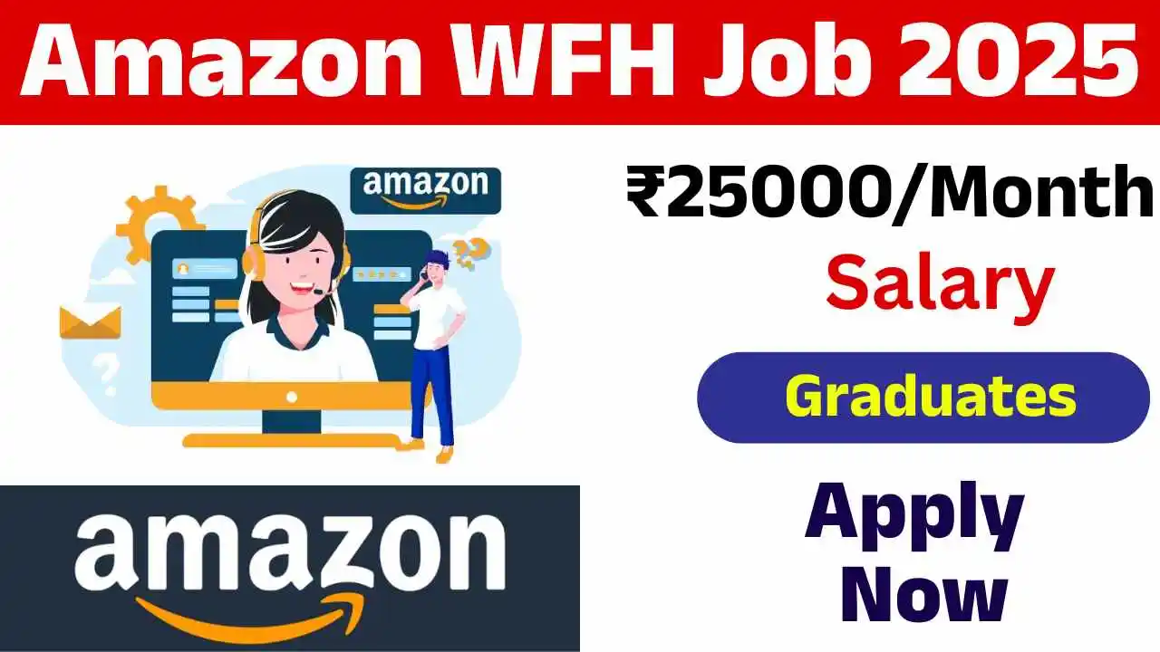 Amazon Work From Home Job 2025