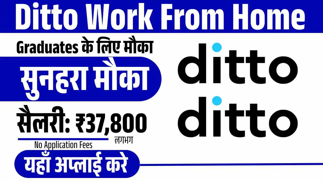 Ditto Work From Home 2025