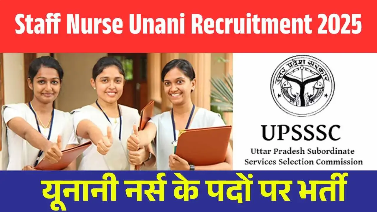 SCI Programmer Recruitment 2025